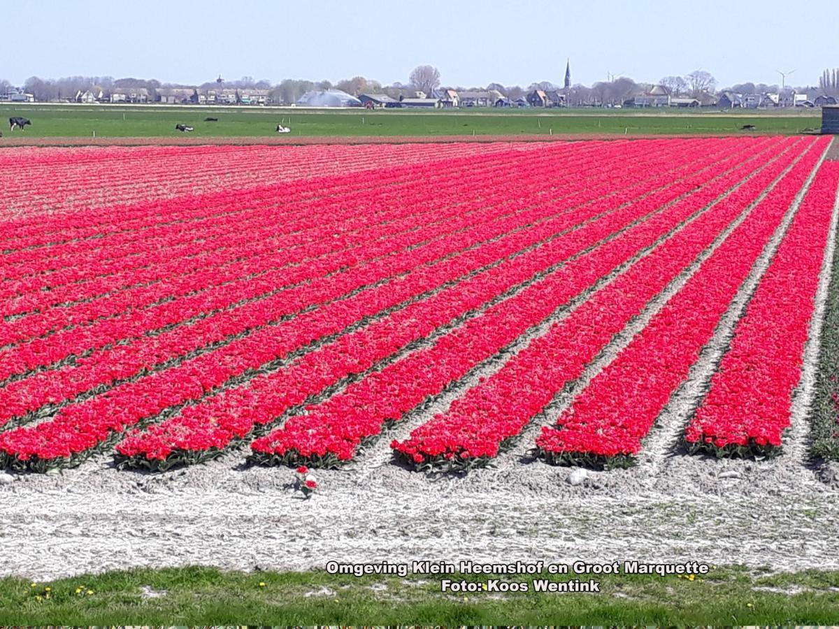 Klein Heemshof - Noord Holland Aan Uw Voeten Warmenhuizen Exterior photo